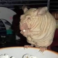 ooglywoogly