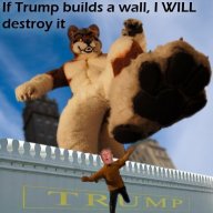 FurryThrowAway6969