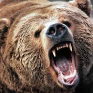 FatAngryBear