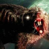 SwampBeaver