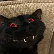 Blackhole