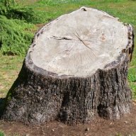 A stump