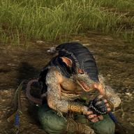 Snikch