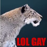 Homotherium