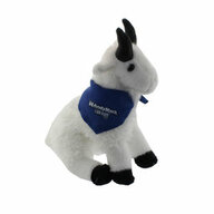 Mountain Goat