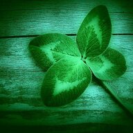 Classic Four-Leaf