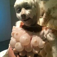 daddywuldulyksumsausages
