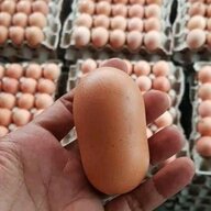 that's a long egg man