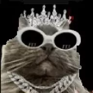 catbyte