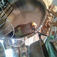 Chicken In A Pot