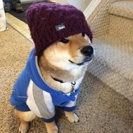 HypeBeast