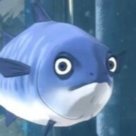 Water Drinking Fish