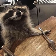 TrashWhoreRaccoon