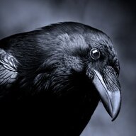 RavenTeer