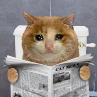 chasingmice