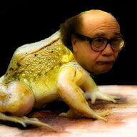 thefrogkid