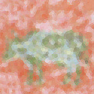 A_Rotten_Sharwama