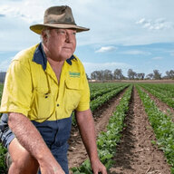 Farmer Bodangle