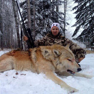 WolfKiller