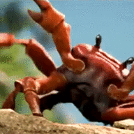 Crabbed Hams