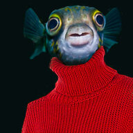 turtleneckfish