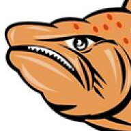 Belligerent Salmon