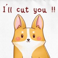 Ver_fox_12