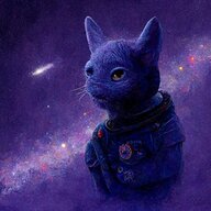 bitchofawitch