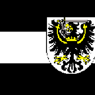 Stary Szor
