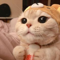 The Cat From Outer Space
