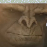 ｎｉｇｇｅｒ ｆｏｒｅｖｅｒ