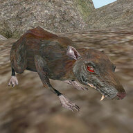 DiseasedRat