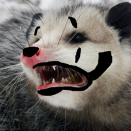 Kumomo