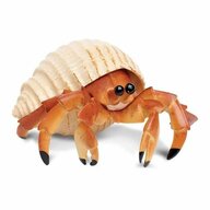 ForecasterShrimp