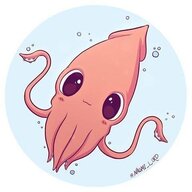 Caramelized Squid