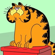 Lasagna Cat