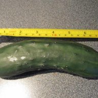 Damn 7 incher