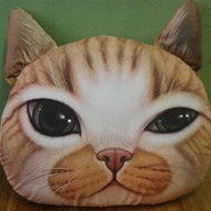 Pillow