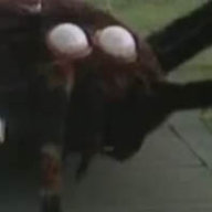 GiantSpiderInvasion