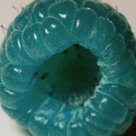 Blue Razz