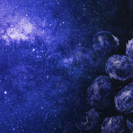 Galactic Berries