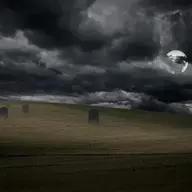 Windows XP Home Edition