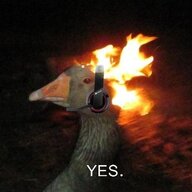 wildgoose