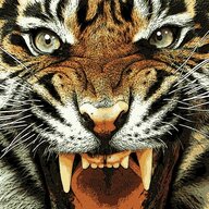 Tigga