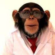 Professor Monkey