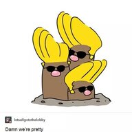 SquidQuid