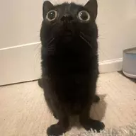 Virtual Boring