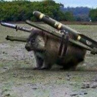 Mortal Wombat