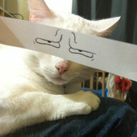 Kets