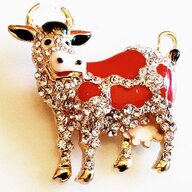 Sparkling Cow